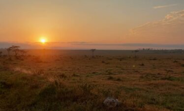 Tanzania Birding And Game Viewing