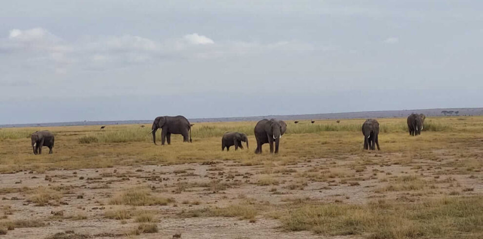 Magical Kenya Luxury Safari