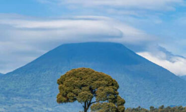 Savannah Safari (Akagera)