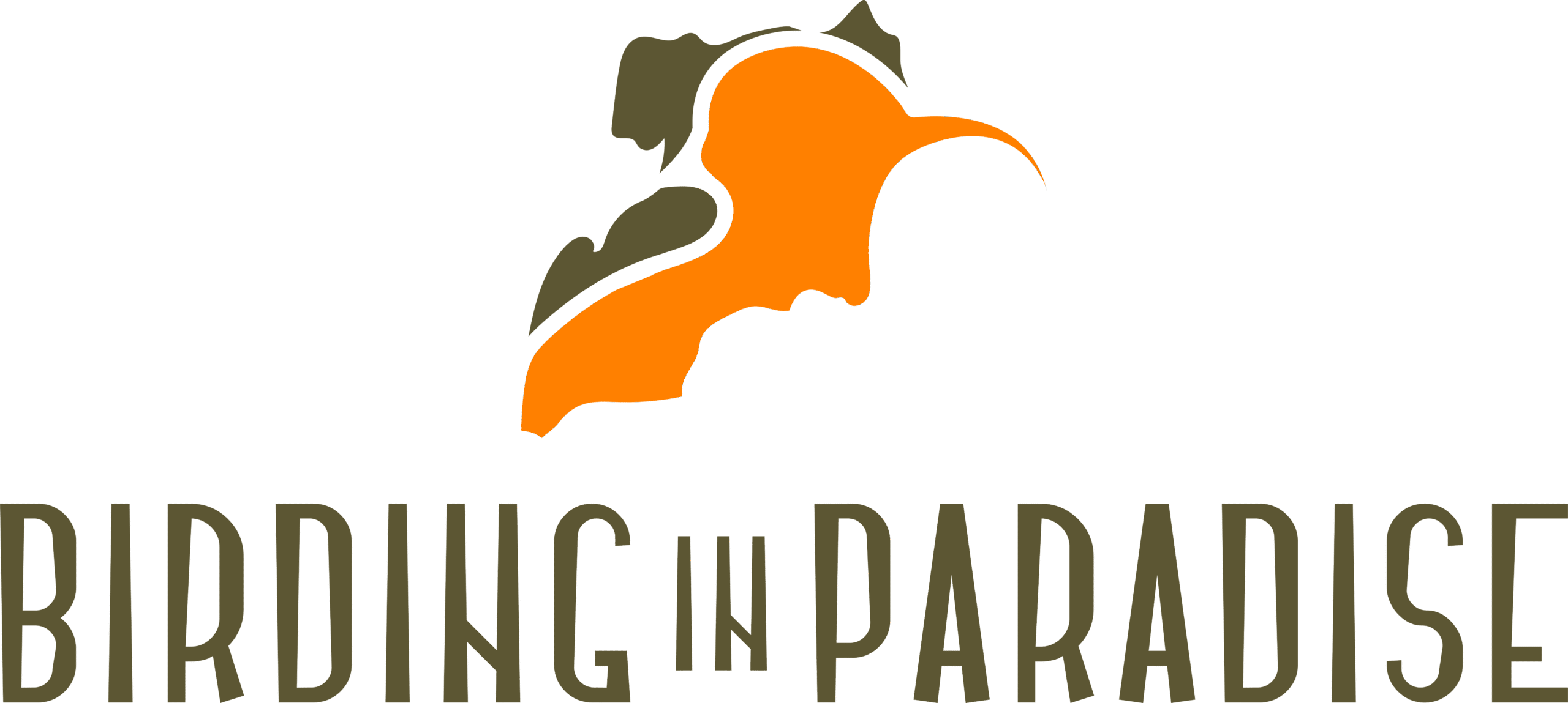 Birding in Paradise logo