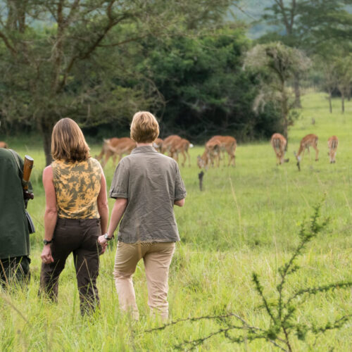 Big Five Uganda Safari | Savannah Uganda  