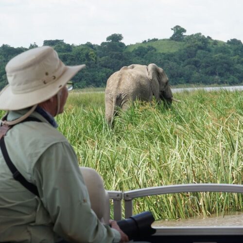 Classic Uganda Safari