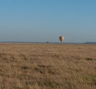 IMG-20190213-WA0032