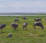 IMG-20230727-WA0045 2