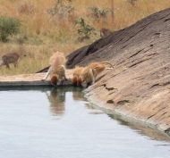 Kidepo Valley NP 13