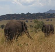 Kidepo Valley NP 15