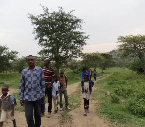 Walking Safari And Gorillas, Bwindi Impenetrable Forest