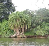 Lake Mburo NP 34