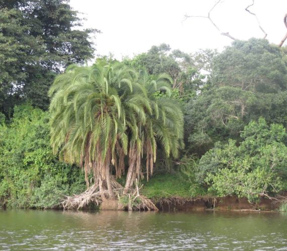 Lake Mburo NP 34