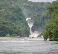Murchison Falls National Park 1